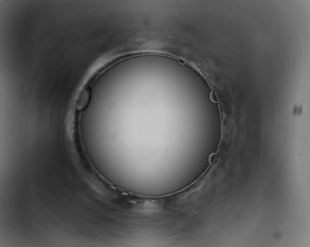 X0000103440056200809121413