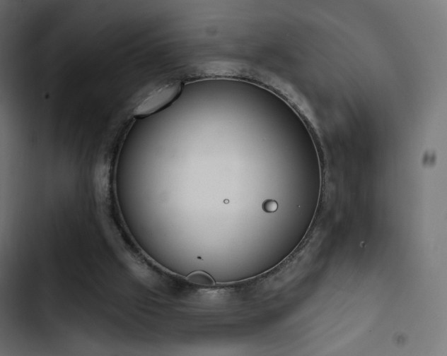 X0000103440057200809121413