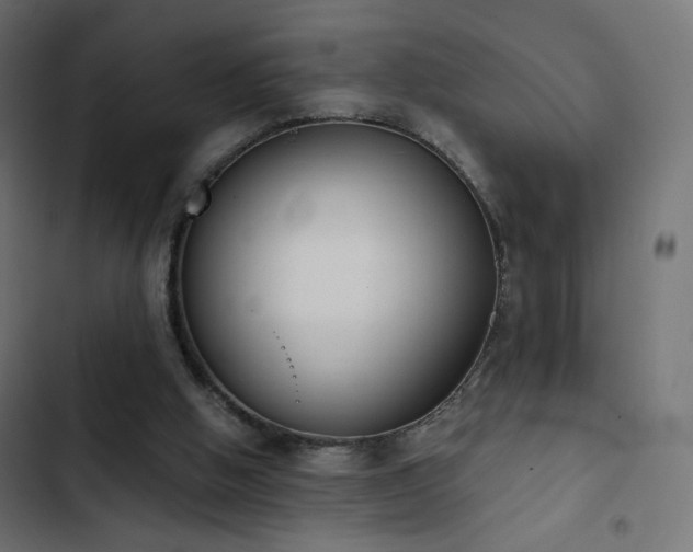 X0000103440058200809121413