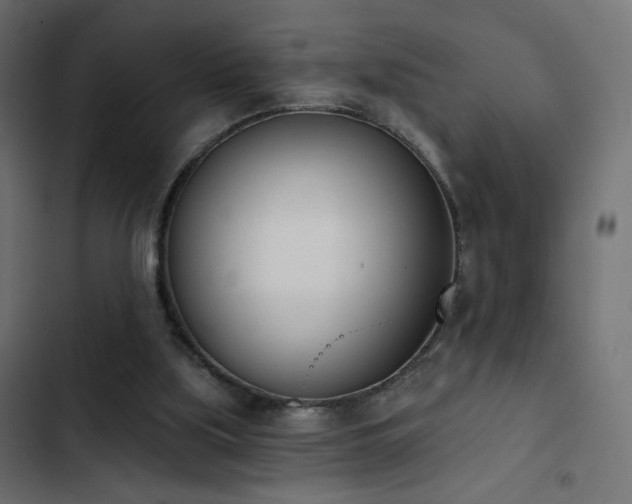 X0000103440059200809121413
