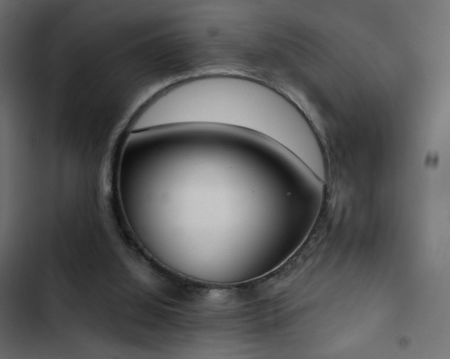 X0000103440060200809121413