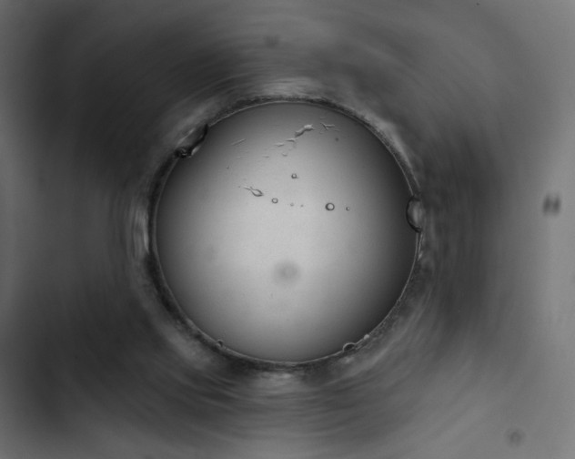 X0000103440061200809121413