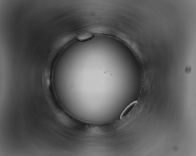 X0000103440062200809121413