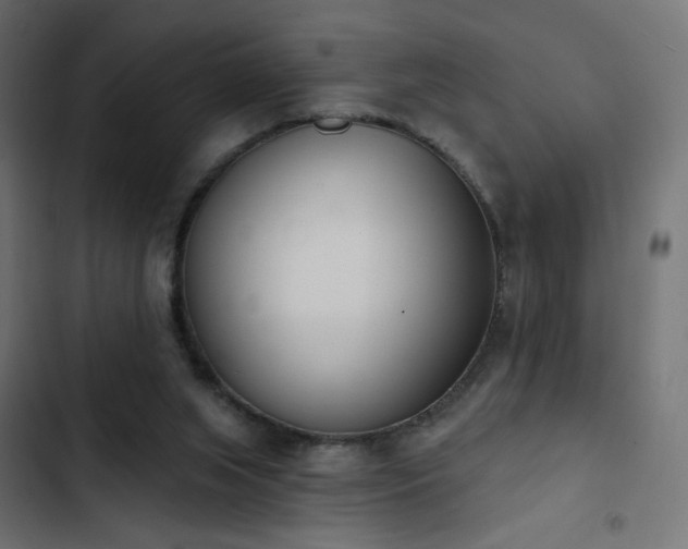X0000103440063200809121413