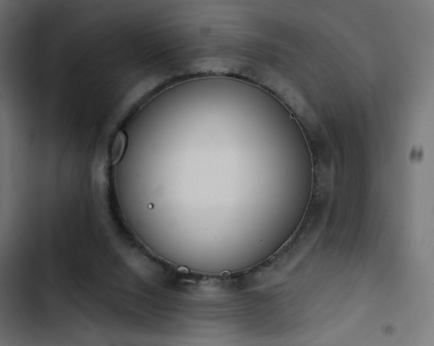 X0000103440064200809121413