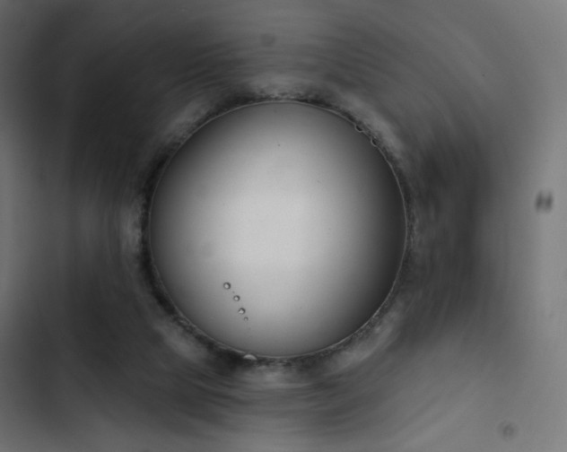 X0000103440065200809121413