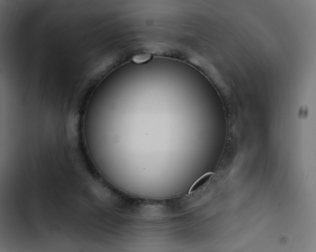 X0000103440066200809121413