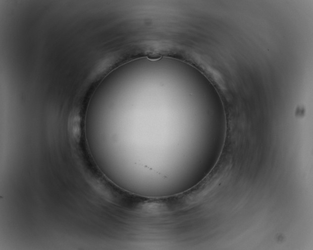 X0000103440067200809121413