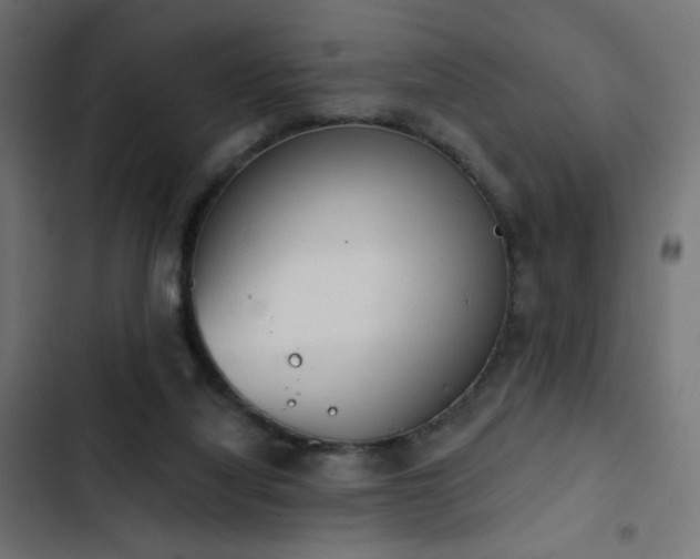 X0000103440068200809121413