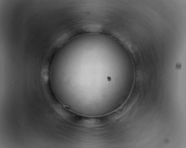 X0000103440069200809121413