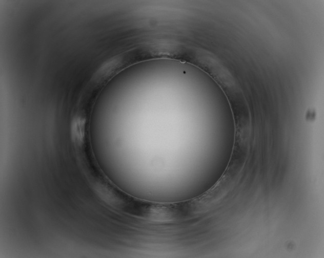 X0000103440070200809121413