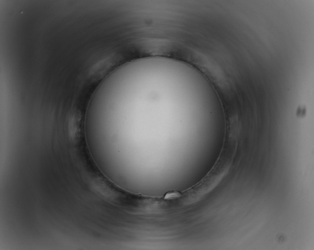 X0000103440073200809121413