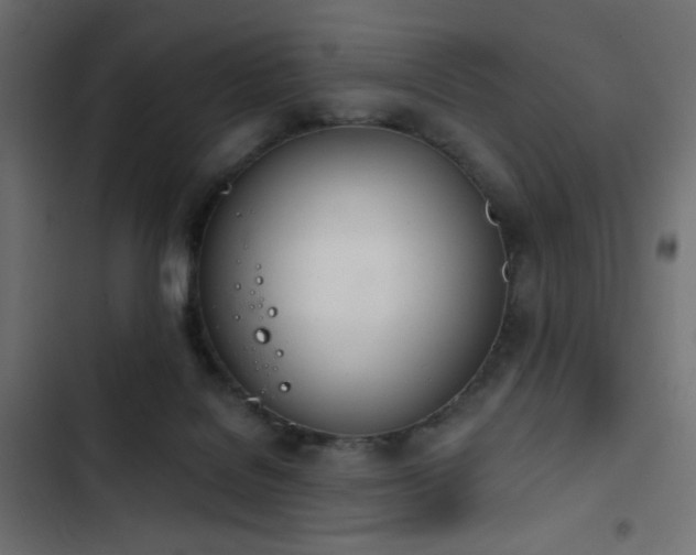 X0000103440076200809121413