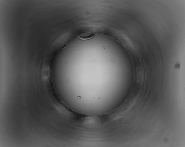 X0000103440077200809121413