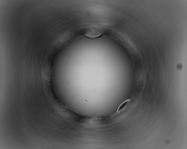 X0000103440078200809121413