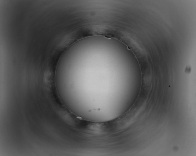 X0000103440079200809121413