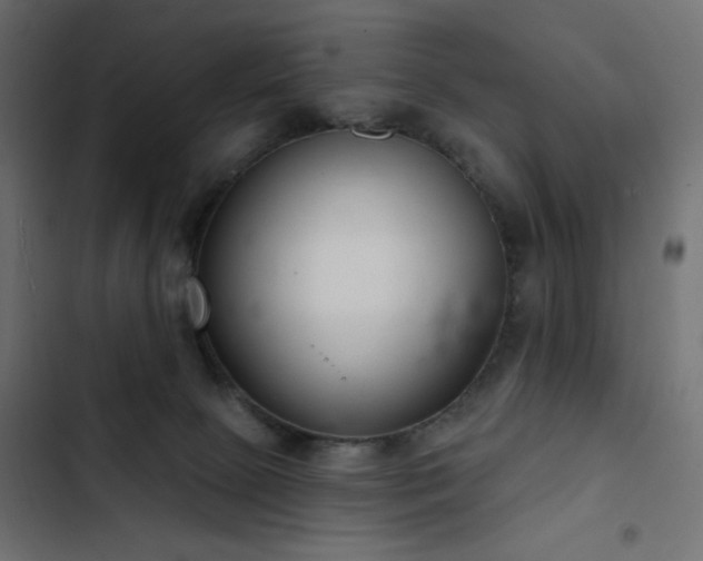 X0000103440081200809121413