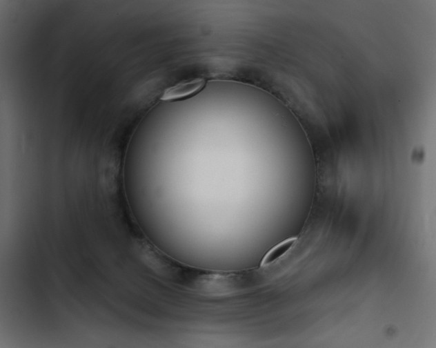 X0000103440082200809121413