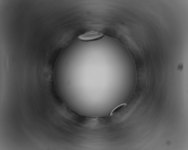 X0000103440083200809121413
