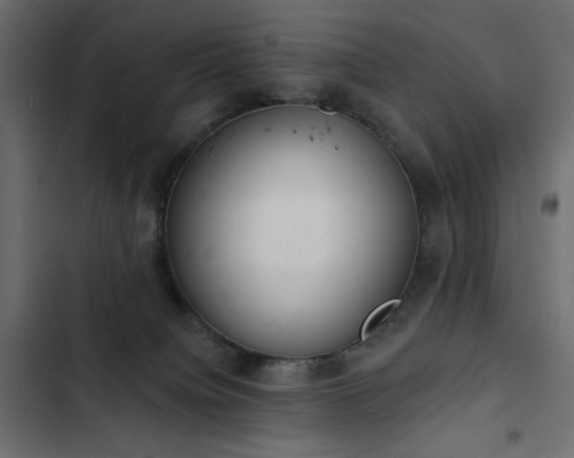 X0000103440084200809121413