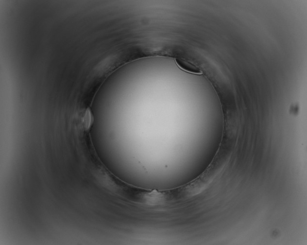 X0000103440085200809121413