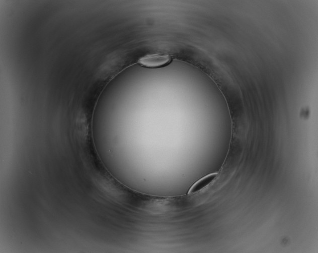X0000103440086200809121413