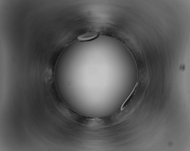 X0000103440087200809121413