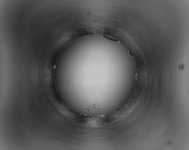 X0000103440088200809121413