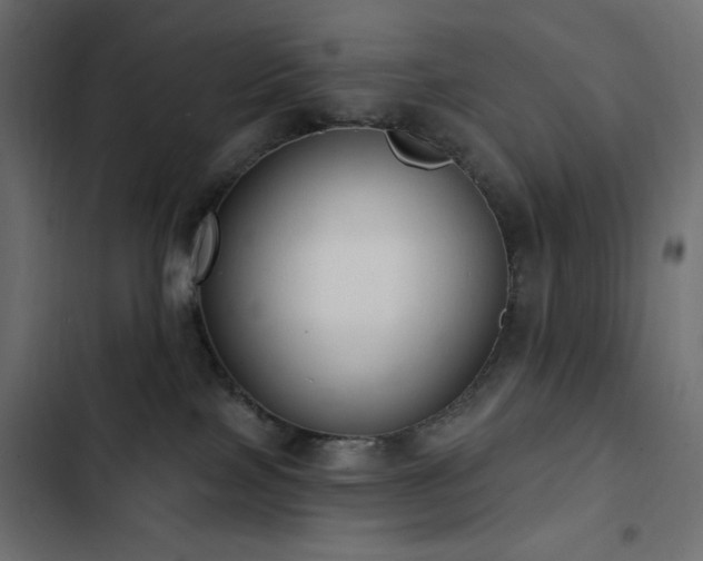 X0000103440089200809121413