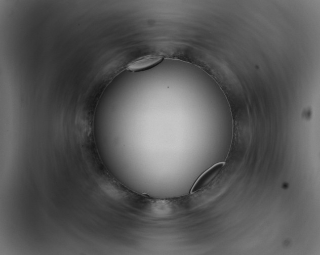 X0000103440091200809121413