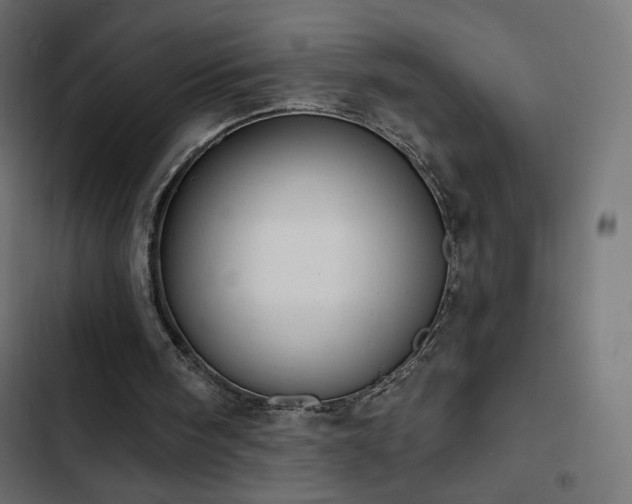 X0000103440098200809121413