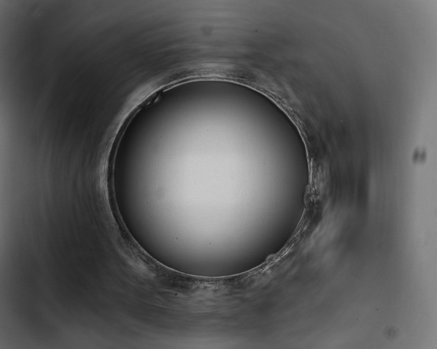 X0000103440099200809121413