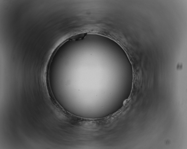 X0000103440100200809121413