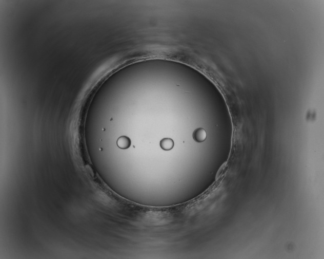 X0000103440101200809121413