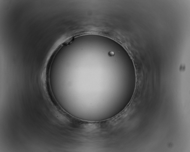 X0000103440102200809121413