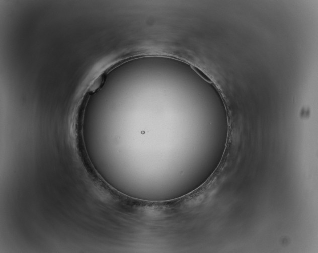 X0000103440103200809121413