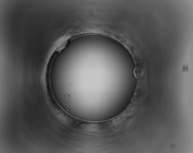 X0000103440104200809121413
