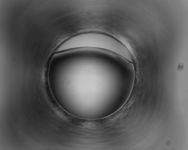 X0000103440105200809121413