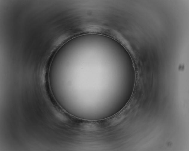 X0000103440106200809121413