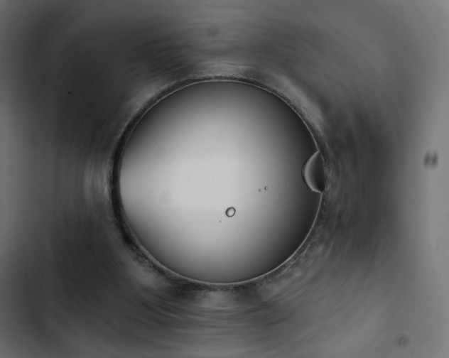 X0000103440107200809121413