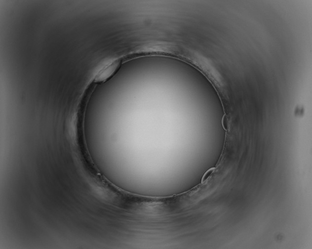 X0000103440108200809121413