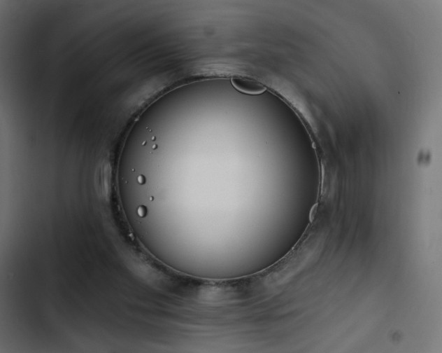 X0000103440109200809121413