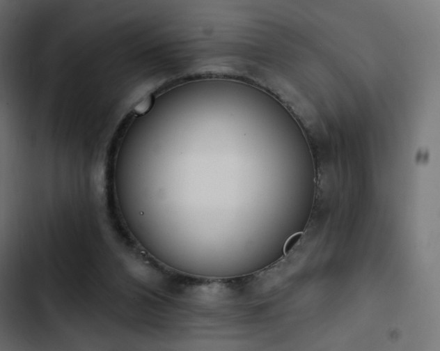 X0000103440112200809121413