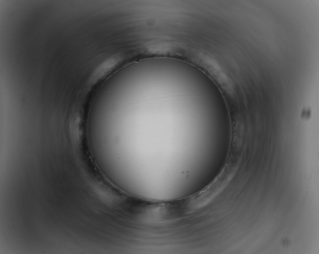 X0000103440116200809121412