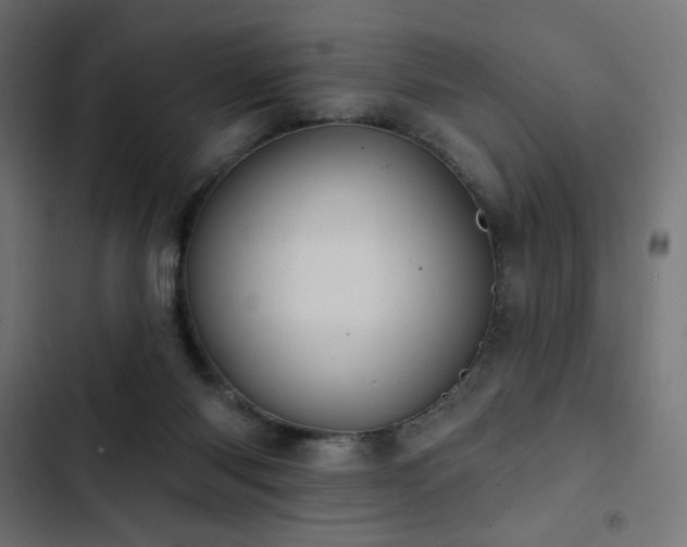 X0000103440118200809121412