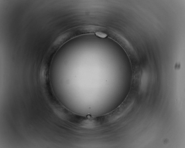 X0000103440119200809121412