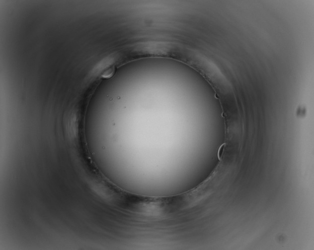 X0000103440120200809121412