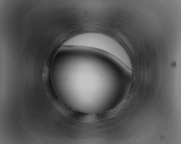 X0000103440124200809121412