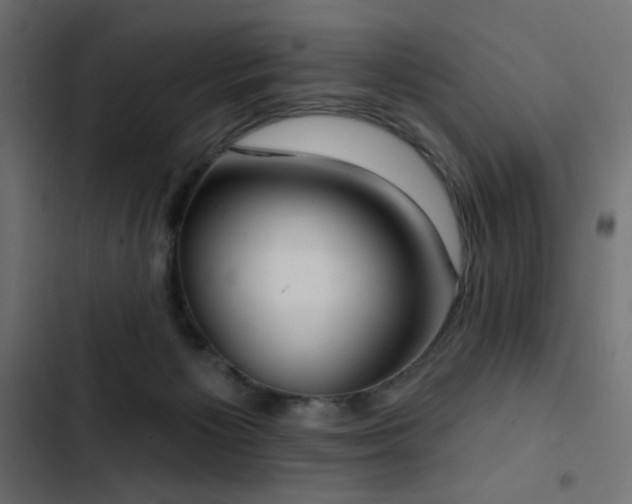 X0000103440125200809121412