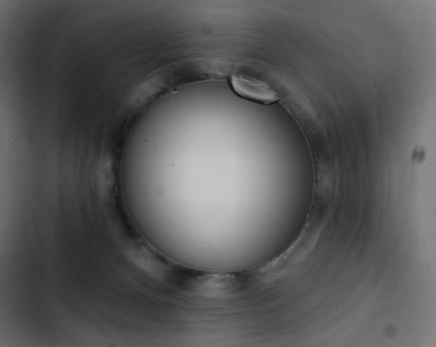 X0000103440128200809121412